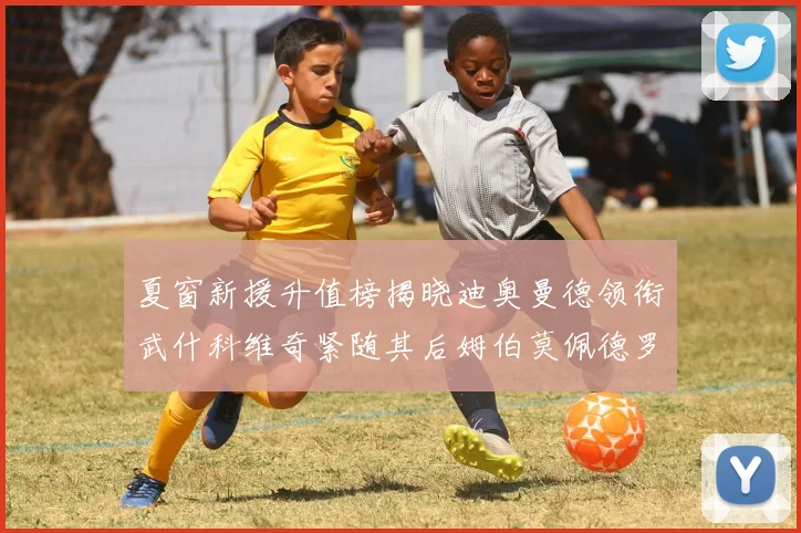夏窗新援升值榜揭晓迪奥曼德领衔武什科维奇紧随其后姆伯莫佩德罗表现抢眼