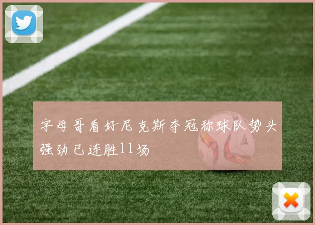 字母哥看好尼克斯夺冠称球队势头强劲已连胜11场